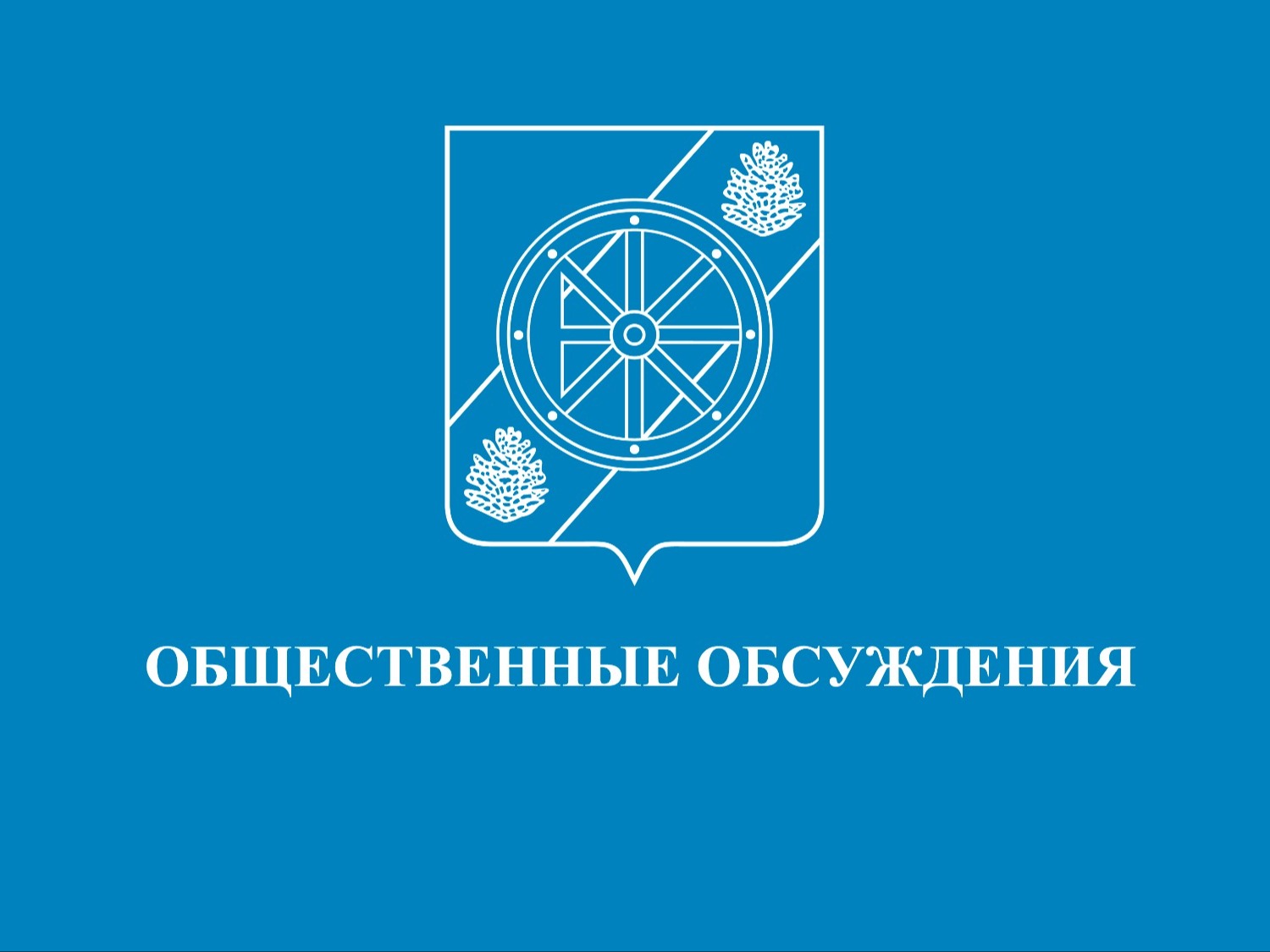 Об определении границ прилегающих территорий на которых не допускается розничная продажа алкогольной продукции и розничная продажа алкогольной продукции при оказании услуг общественного питания на территории Няндомского муниципального округа Архангельской.