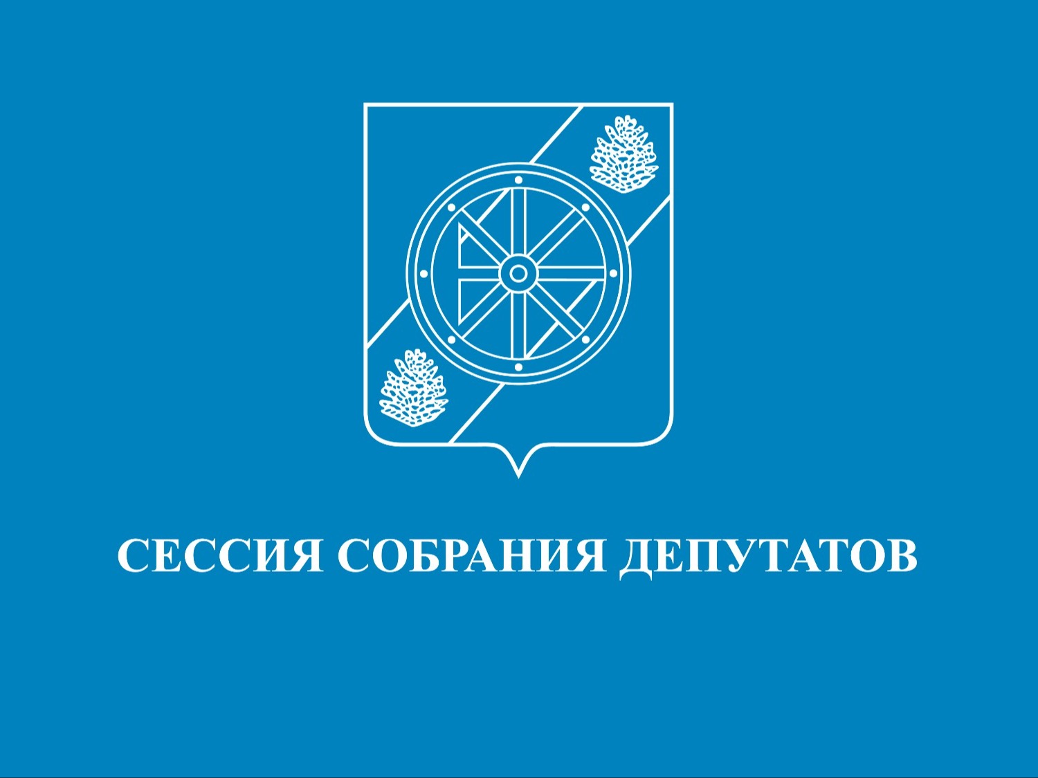 Тридцать шестая (очередная) сессия Тридцать шестая (очередная) сессия.