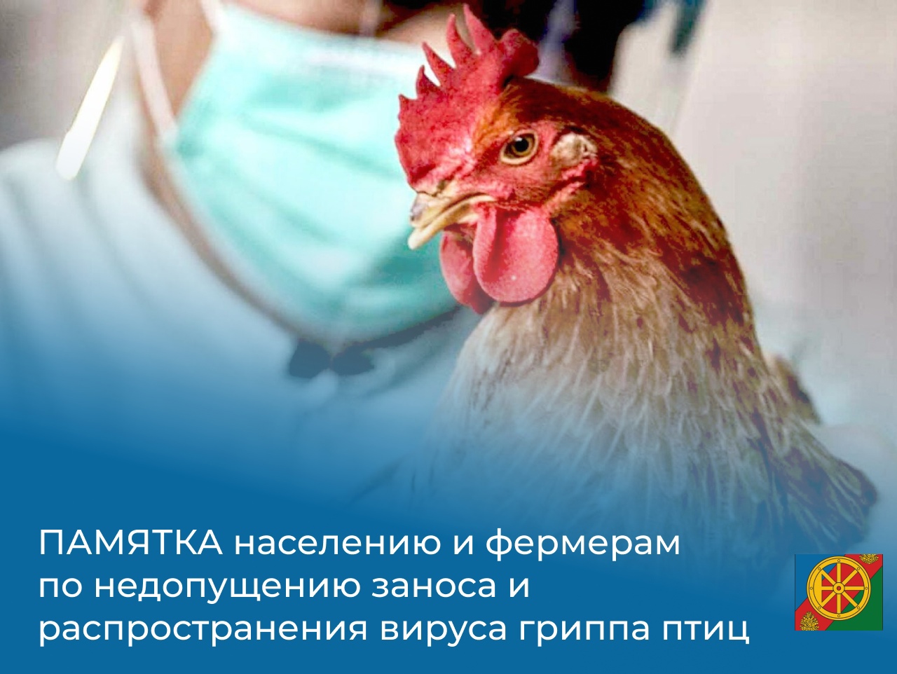 Памятка населению по недопущению заноса и распространения вируса высокопатогенного гриппа птиц в популяции домашних птиц..